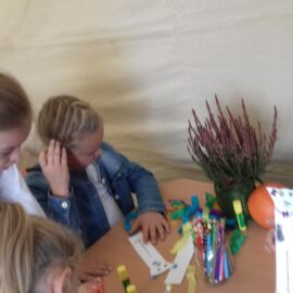 Festiwal Organizacji Społecznych – Piknik Lisiecki